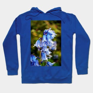 Bluebells Bluebell Spring Flowers Hoodie